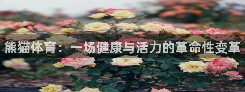 意昂3登录：熊猫体育：一场健康与活力的革命性变革