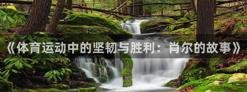 意昂体育官网登录：《体育运动中的坚韧与胜利：肖尔的故事》
