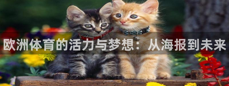 意昂4：欧洲体育的活力与梦想：从海报到未来