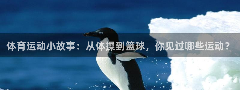 意昂体育官网：体育运动小故事：从体操到篮球，你见过哪些运动？