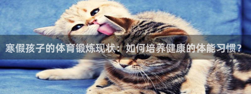 沐鸣2电子有限公司：寒假孩子的体育锻炼现状：如何培养健康的体能习惯？