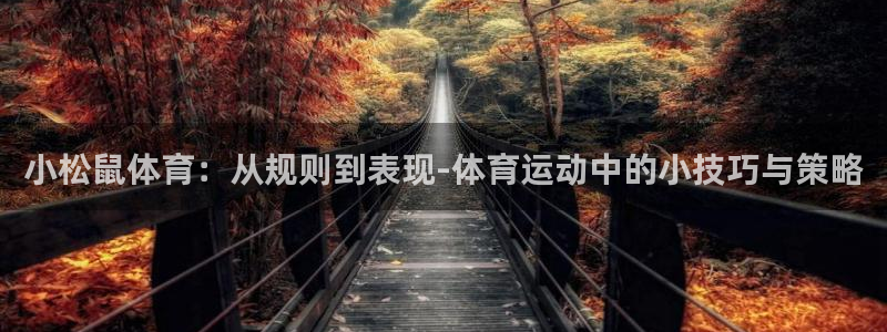 沐鸣2代理注册：小松鼠体育：从规则到表现-体育运动中的小技巧与策略