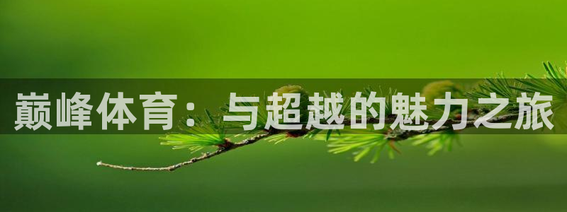 沐鸣2代理注册官网入口：巅峰体育：与超越的魅力之旅