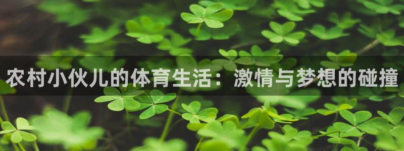 沐鸣2登录入口：农村小伙儿的体育生活：激情与梦想的碰撞