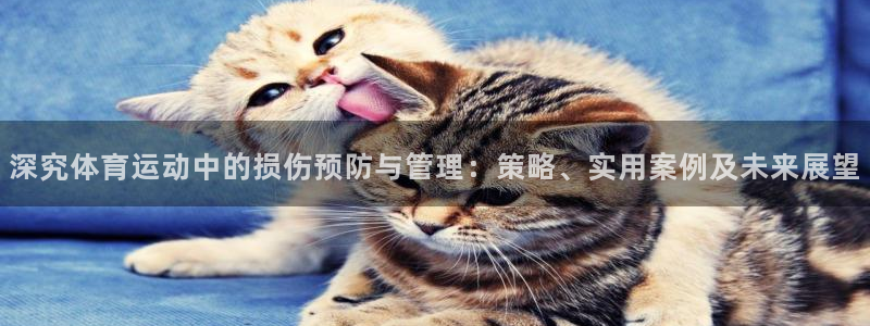 意昂主管：深究体育运动中的损伤预防与管理：策略、实用案例及未来展望