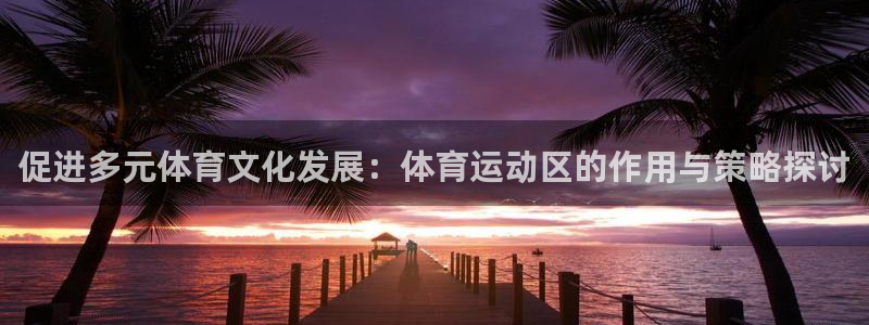 意昂平台登陆：促进多元体育文化发展：体育运动区的作用与策略探讨
