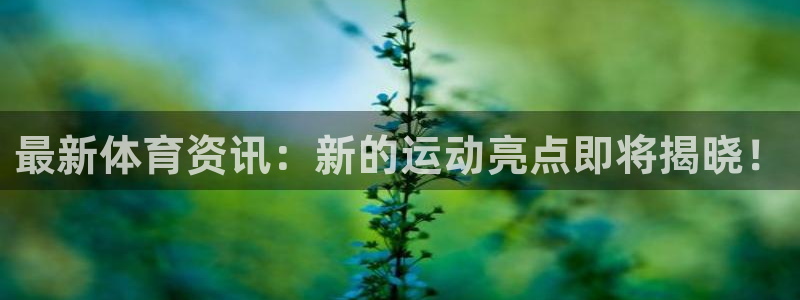 沐鸣2平台开户链接：最新体育资讯：新的运动亮点即将揭晓！