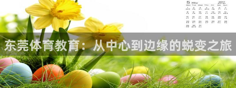 沐鸣2平台招商：东莞体育教育：从中心到边缘的蜕变之旅