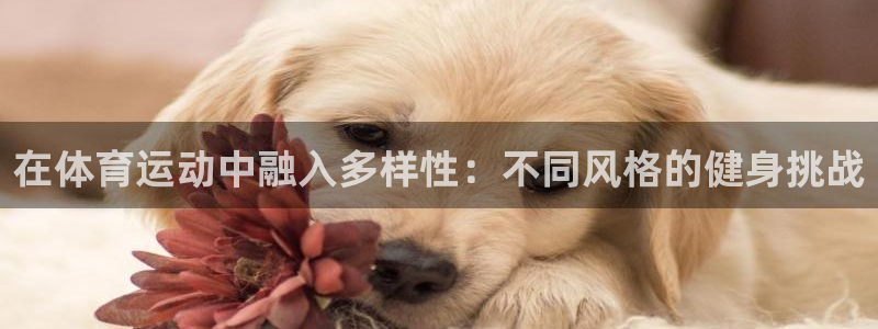 沐鸣23登录：在体育运动中融入多样性：不同风格的健身挑战