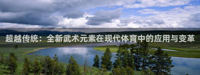 沐鸣24平台注册：超越传统：全新武术元素在现代体育中的应用与变革