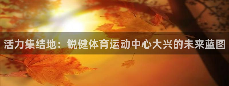 沐鸣2体育：活力集结地：锐健体育运动中心大兴的未来蓝图