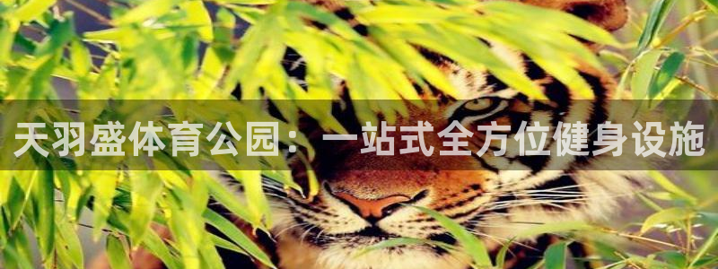 沐鸣2体育游戏：天羽盛体育公园：一站式全方位健身设施