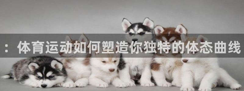沐鸣2官网入口：：体育运动如何塑造你独特的体态曲线
