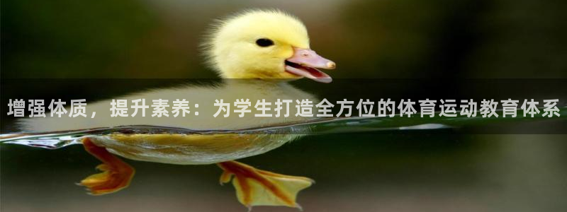 意昂体育官网：增强体质，提升素养：为学生打造全方位的体育运动教育体系