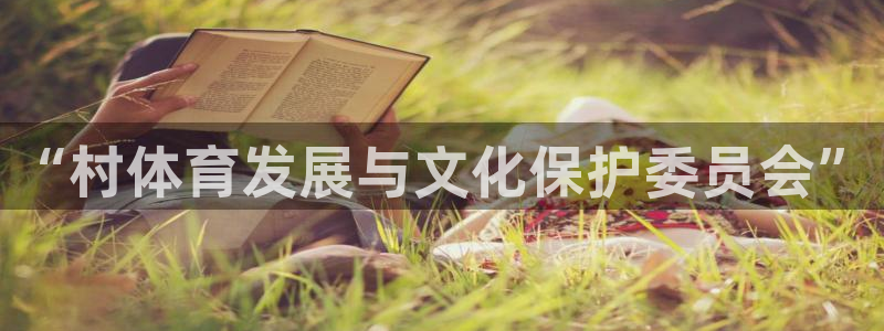 佛山市南海意昂机电仪器有限公司：“村体育发展与文化保护委员会”