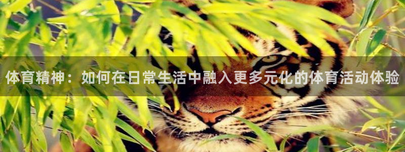 沐鸣2体育：体育精神：如何在日常生活中融入更多元化的体育活动体验