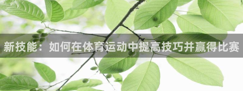 成都意昂电子有限公司：新技能：如何在体育运动中提高技巧并赢得比赛