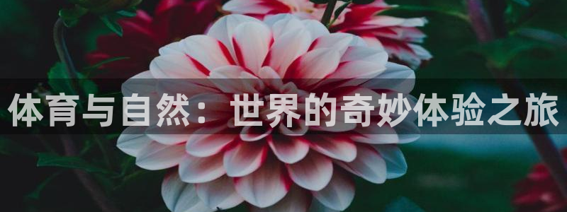 沐鸣2体育平台注册：体育与自然：世界的奇妙体验之旅