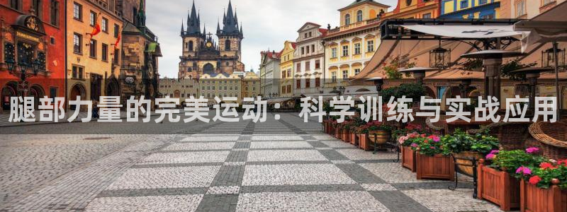 沐鸣2：腿部力量的完美运动：科学训练与实战应用