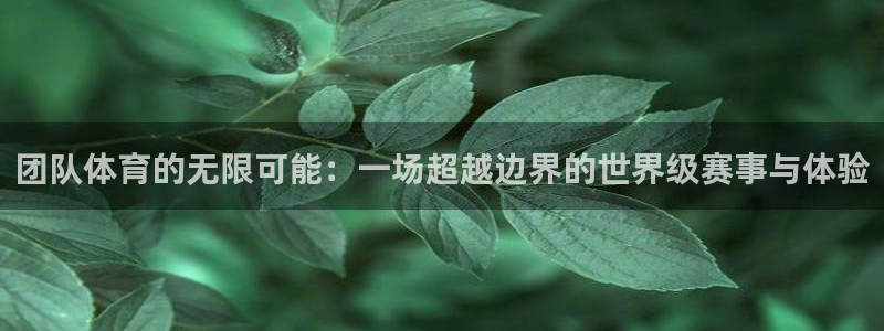 沐鸣2平台：团队体育的无限可能：一场超越边界的世界级赛事与体验