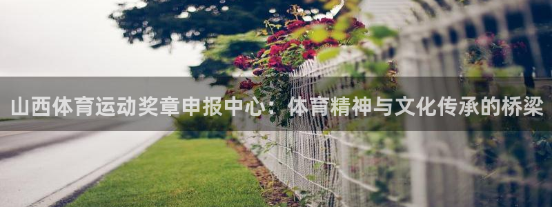 沐鸣24登录：山西体育运动奖章申报中心：体育精神与文化传承的桥梁
