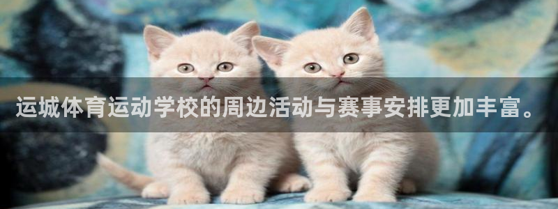 沐鸣22平台注册：运城体育运动学校的周边活动与赛事安排更加丰富。