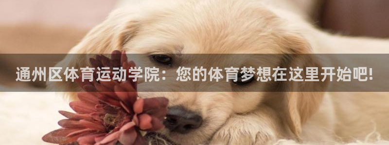 沐鸣2体育凯捷登陆：通州区体育运动学院：您的体育梦想在这里开始吧!