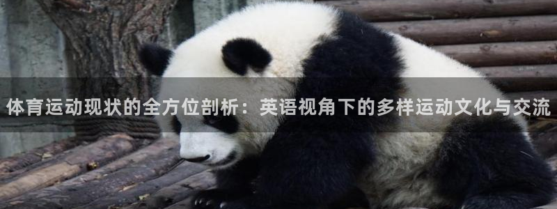 沐鸣2体育平台登录入口：体育运动现状的全方位剖析：英语视角下的多样运动文化与交流