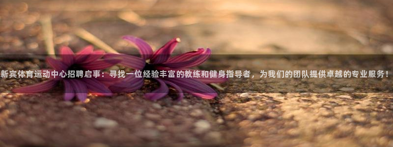 沐鸣2集团股票：新宾体育运动中心招聘启事：寻找一位经验丰富的教练和健身指导者，为我们的团队提供卓越的专业服务！